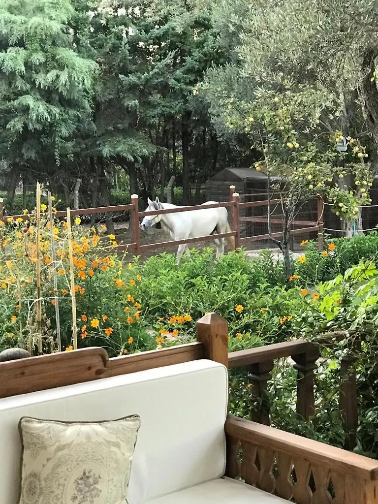 Hotel Ayse Hanim Konagi Urla